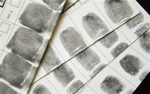 fingerprints